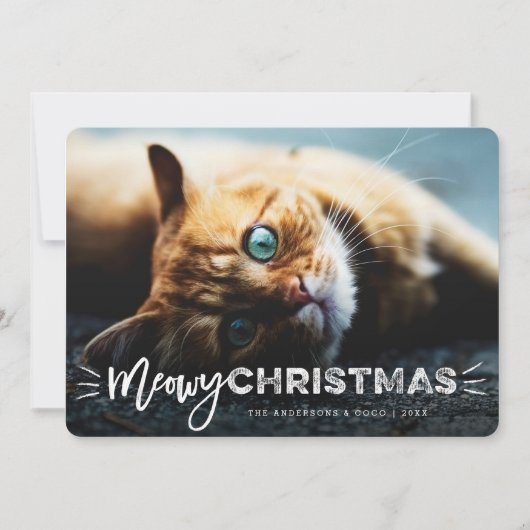 Meowy Kerstpenseel Script Cat Lover Photo Pet Feestdagenkaart (Voorkant)