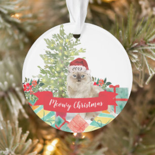 Meowy Kerstragdoll Cat Ornament