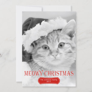 Meowy Kerstrode kitten pet kerstfoto Feestdagenkaart