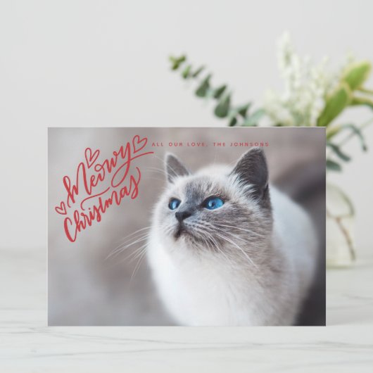 Meowy Kerstroodhandschrift, volledige foto Feestdagenkaart (Staand voorkant)