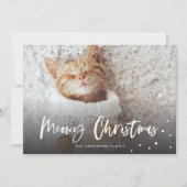 Meowy Kerstsneeuwkat | Foto Pet Feestdagenkaart (Voorkant)
