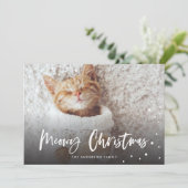 Meowy Kerstsneeuwkat | Foto Pet Feestdagenkaart (Staand voorkant)