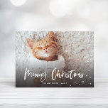 Meowy Kerstsneeuwkat | Foto Pet Feestdagenkaart<br><div class="desc">Viel het vakantieseizoen rond met deze stijlvolle vakantiekaart met een modern script dat "Meowy Kerstmis" en sneeuwval zegt.</div>