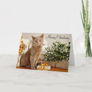 Meowy Merry Christmas Cat Wenskaart Feestdagen Kaart