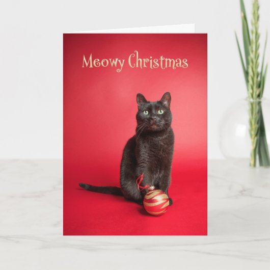 Meowy (Merry) Kerstkat met Ornamenten Humor Feestdagen Kaart (Voorkant)