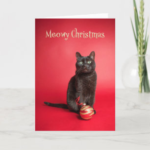 Meowy (Merry) kerstkat met sierse Humor Feestdagen Kaart