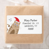 Meowy Xmas grappige kat draagt santa hat Etiket (Insitu)