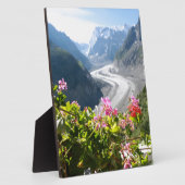 Mer de Glace - Chamonix Frankrijk Fotoplaat (Zijkant)