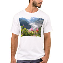 Mer de Glace - Chamonix Frankrijk