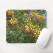 Merak Muismat (Met muis)