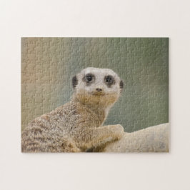 Mercats Africa Legpuzzel