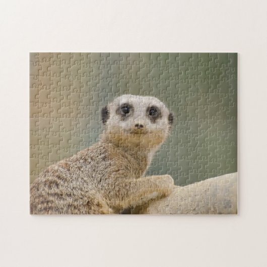 Mercats Africa Legpuzzel (Horizontaal)