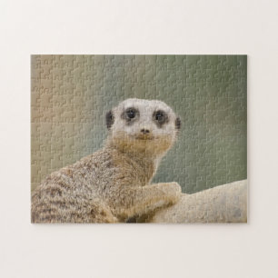 Mercats Afrika Legpuzzel