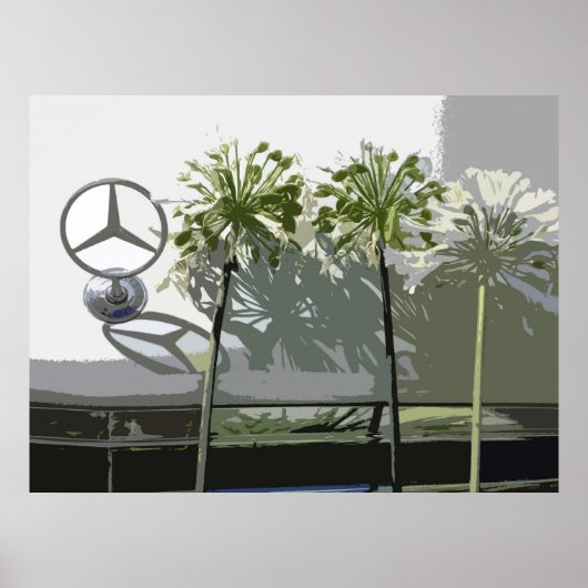 MERCEDES EN AGAPANTHUS POSTER (Voorkant)