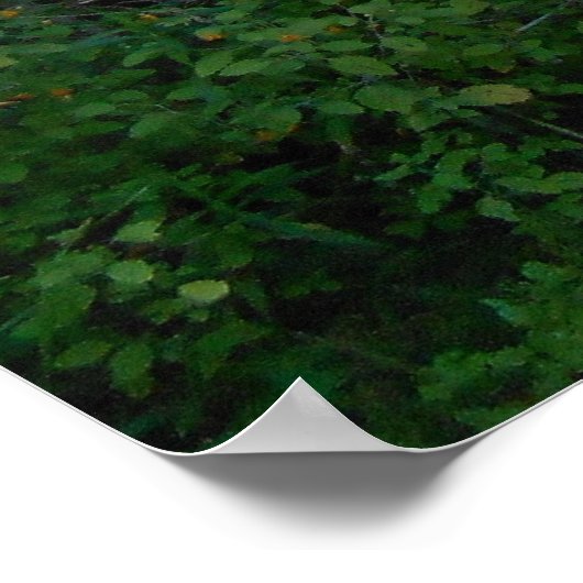 Mercedes W123 Poster (Hoek)