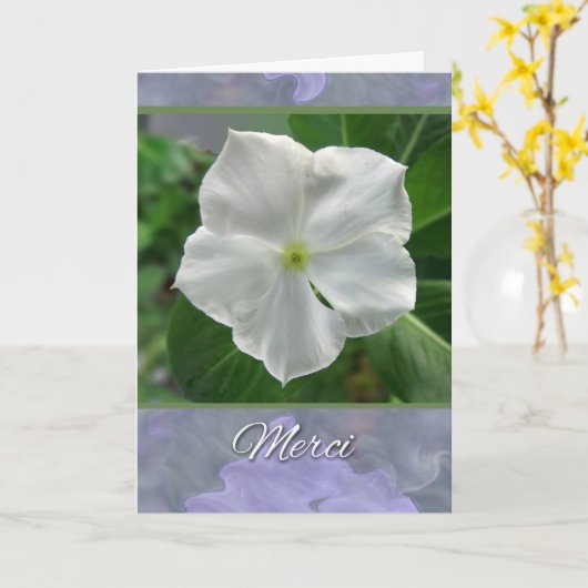 Merci Pour vos Sympathie Dank je in het Frans Kaart (Gele Bloem)