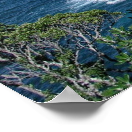 Mercury Bay Poster (Hoek)