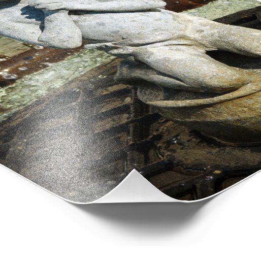 Mercy Foto Afdruk (Hoek)