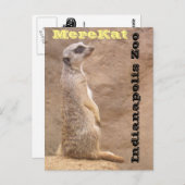Merekat Indianapolis Zoo Briefkaart (Voorkant / Achterkant)