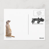 Merekat Indianapolis Zoo Briefkaart (Achterkant)