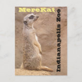 Merekat Indianapolis Zoo Briefkaart (Voorkant)
