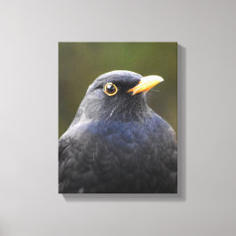 Merel Canvas Afdruk