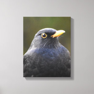 Merel Canvas Afdruk