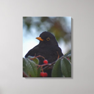 Merel Canvas Afdruk