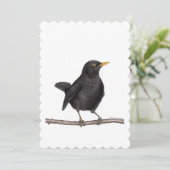merel (Turdus merula) Kaart (Staand voorkant)