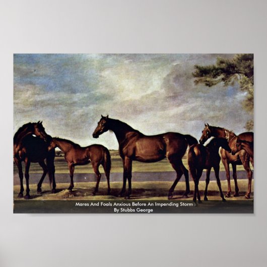 Meren en dieren die angstig zijn voor een dreigend poster (Voorkant)