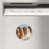 Meren, prei, Streams en Rivers Magnet (Insitu (Vaatwasser))