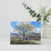 Meren van briefkaart van Killarney (Staand voorkant)