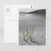 Meren van Ontario, Canada Briefkaart Black & White (Voorkant / Achterkant)