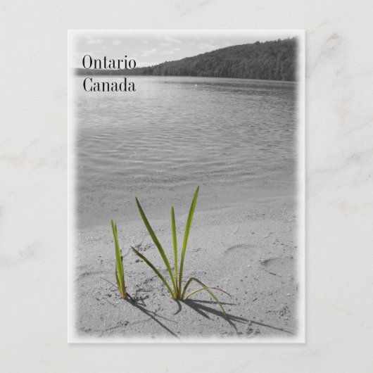 Meren van Ontario, Canada Briefkaart Black & White (Voorkant)