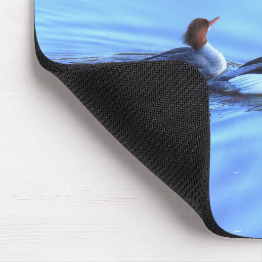 Merganser Ducks Muismat (Hoek)