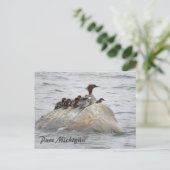 Merganser en kuikens, Noord-Michigan briefkaart (Staand voorkant)