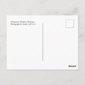 Merganser en kuikens, Noord-Michigan briefkaart (Achterkant)