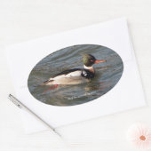 Merganser sticker met rode borst (Envelop)