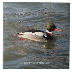 Merganser tegel met rode borst tegeltje