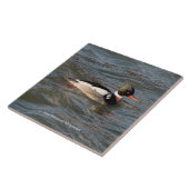 Merganser tegel met rode borst tegeltje (Zijkant)