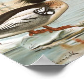 Mergansers  vogelillustratie poster (Hoek)