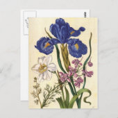 Merian Floral Art Briefkaart (Voorkant / Achterkant)