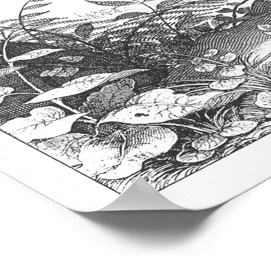 MERIAN: Heidelberg Castle and Old City (1620) Poster (Hoek)