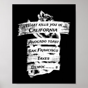 Merica Humor America USA Funny California Poster