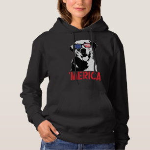 Merica Yellow Labrador American Flag Sunbril 4t Hoodie
