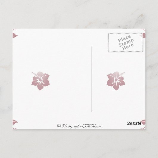 MERIDA - Loba Capitolina Briefkaart (Achterkant)