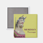 Meridiaan vierkante magneet (Voorkant / Achterkant)