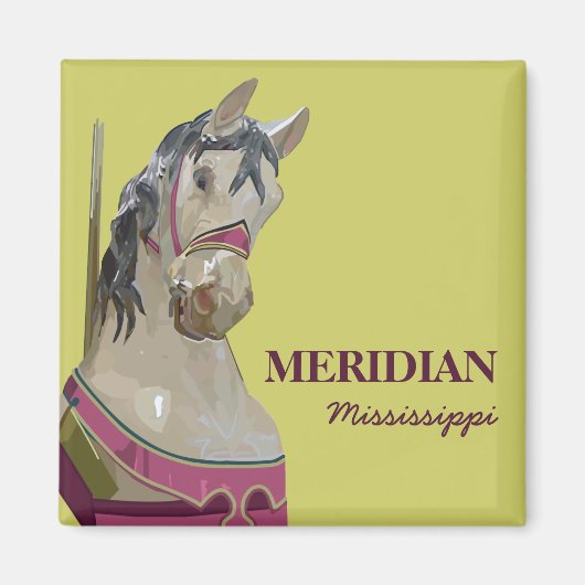 Meridiaan vierkante magneet (Voorkant)