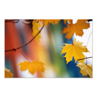 Meridiaanse Herfst. Foto Afdruk