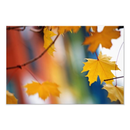 Meridiaanse Herfst. Foto Afdruk (Voorkant)